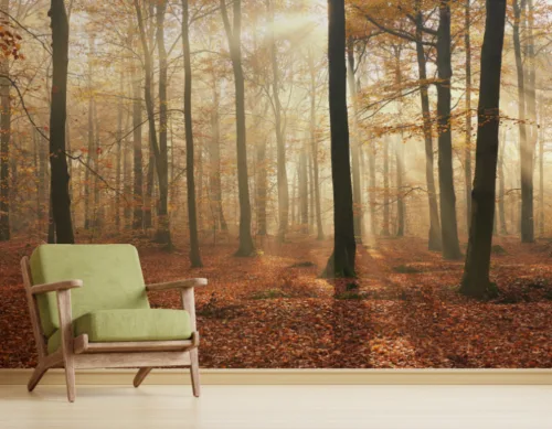 Autumn Serenity Nature Scene Forest Wallpaper Mural Autumn Serenity Nature Scene Forest Wallpaper Mural