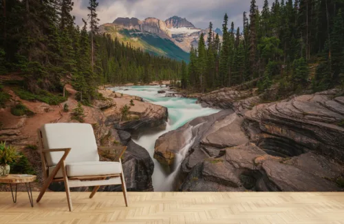 Beautiful Trees and River Forest Wall Mural Beautiful Trees and River Forest Wall Mural