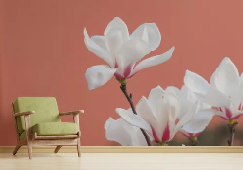 Beautiful White Flowers Wallpaper Beautiful White Flowers Wallpaper