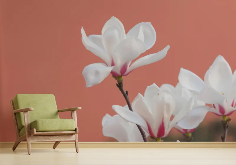 Beautiful White Flowers Wallpaper