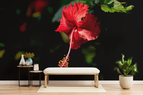Best Peel and Stick Flora Red Flower Wall Mural Design Wallpaper