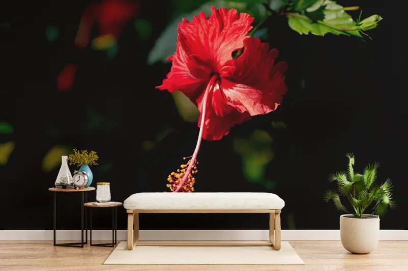 Best Peel and Stick Flora Red Flower Wall Mural Design Wallpaper