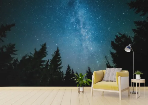 Dreamy Jungle Wall Mural Wallpaper Dreamy Jungle Wall Mural Wallpaper