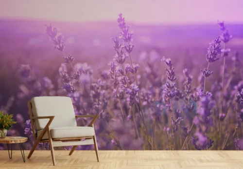 Elegant Violet Flower Wall Design Elegant Violet Flower Wall Design