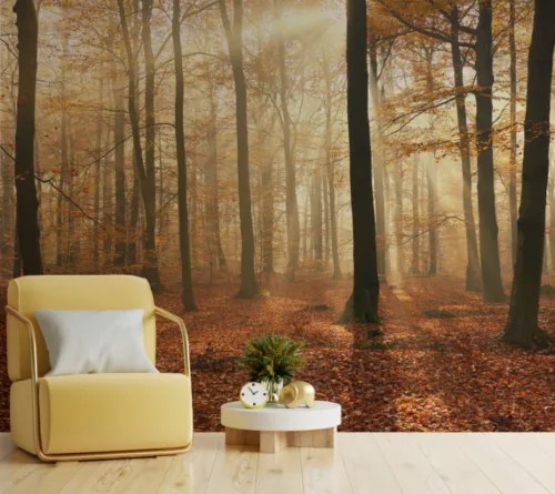 Golden Glow Autumn Forest Mural Living Room Golden Glow Autumn Forest Mural Living Room