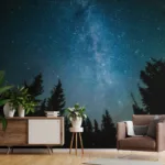 Latest Peel and Stick Wall Mural Wallpaper Latest Peel and Stick Wall Mural Wallpaper