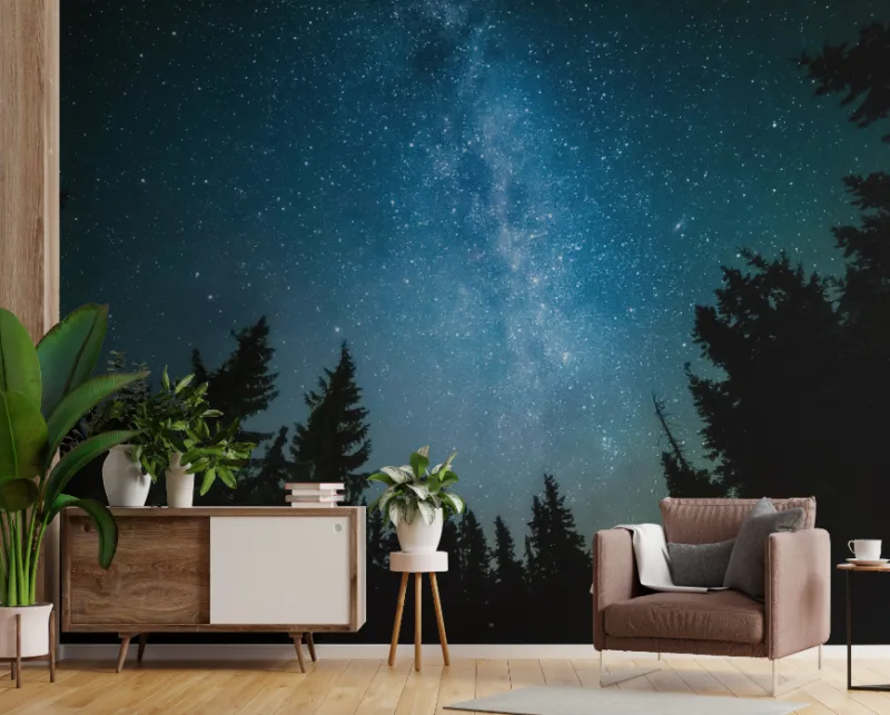 Latest Peel and Stick Wall Mural Wallpaper