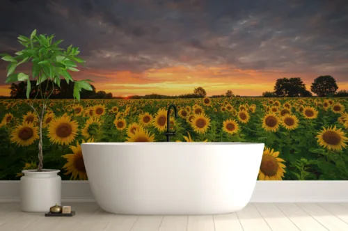Sunflower Sunshine Floral Wallpaper Sunflower Sunshine Floral Wallpaper