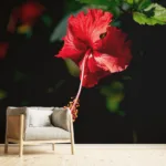Sunshine Valley Meadow Floral Wallpapers for Wall