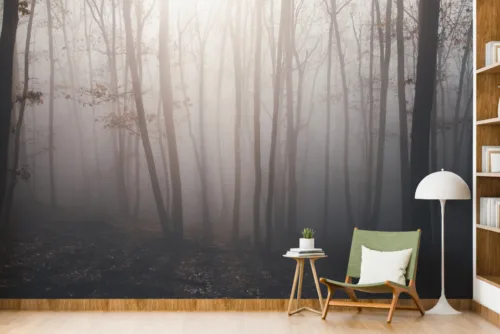 Top Gloomy Wall Design Forest Wallpaper for Wall Top Gloomy Wall Design Forest Wallpaper for Wall