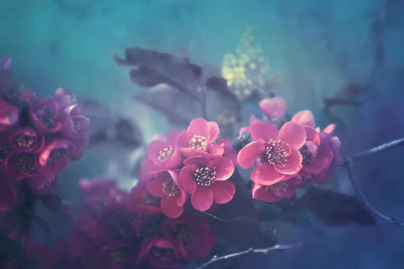Underwater Floral Wallpaper