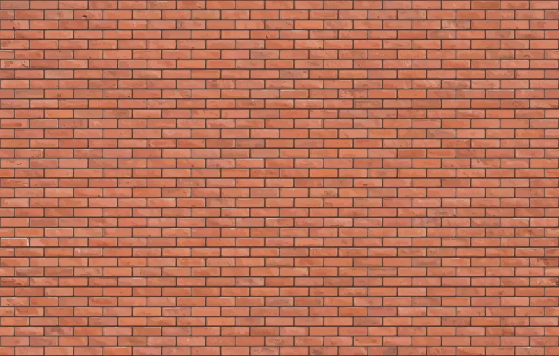 Best Peel and Stick Wall Mural for Wall Décor