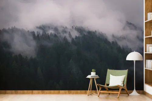 Foggy Damp Lush Forest Wall Mural Yoga Room Foggy Damp Lush Forest Wall Mural Yoga Room