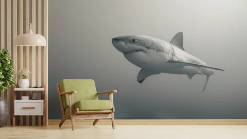 Monochrome Shark Decor Artwork Coastal Ocean Animal Theme Boston Bayfront Choice Modern monochrome shark décor artwork highlighting coastal and ocean animal themes, a stylish choice for Boston bayfront living.
