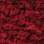 Dark red leaves peel and stick wallpaper, vibrant botanical style, vinyl wall covering for bedrooms