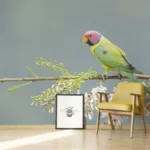 Colorful Parrot Jungle Bird Removable Wallpaper With Floral Art Style Perfect For Living Spaces In Seattle Homes