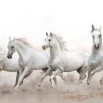 Realistic White Running Horse Self Adhesive Wallpaper – Modern Wild Luxury Wall Art Trending Interiors.